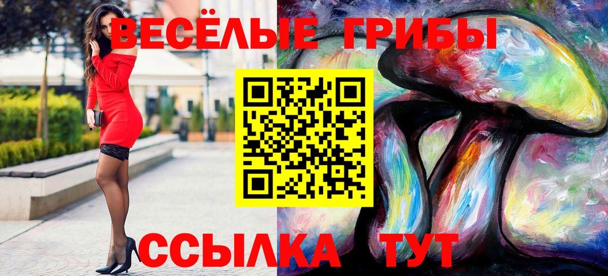 Псилоцибиновые грибы Cubensis  Вход с VPN  Череповец 